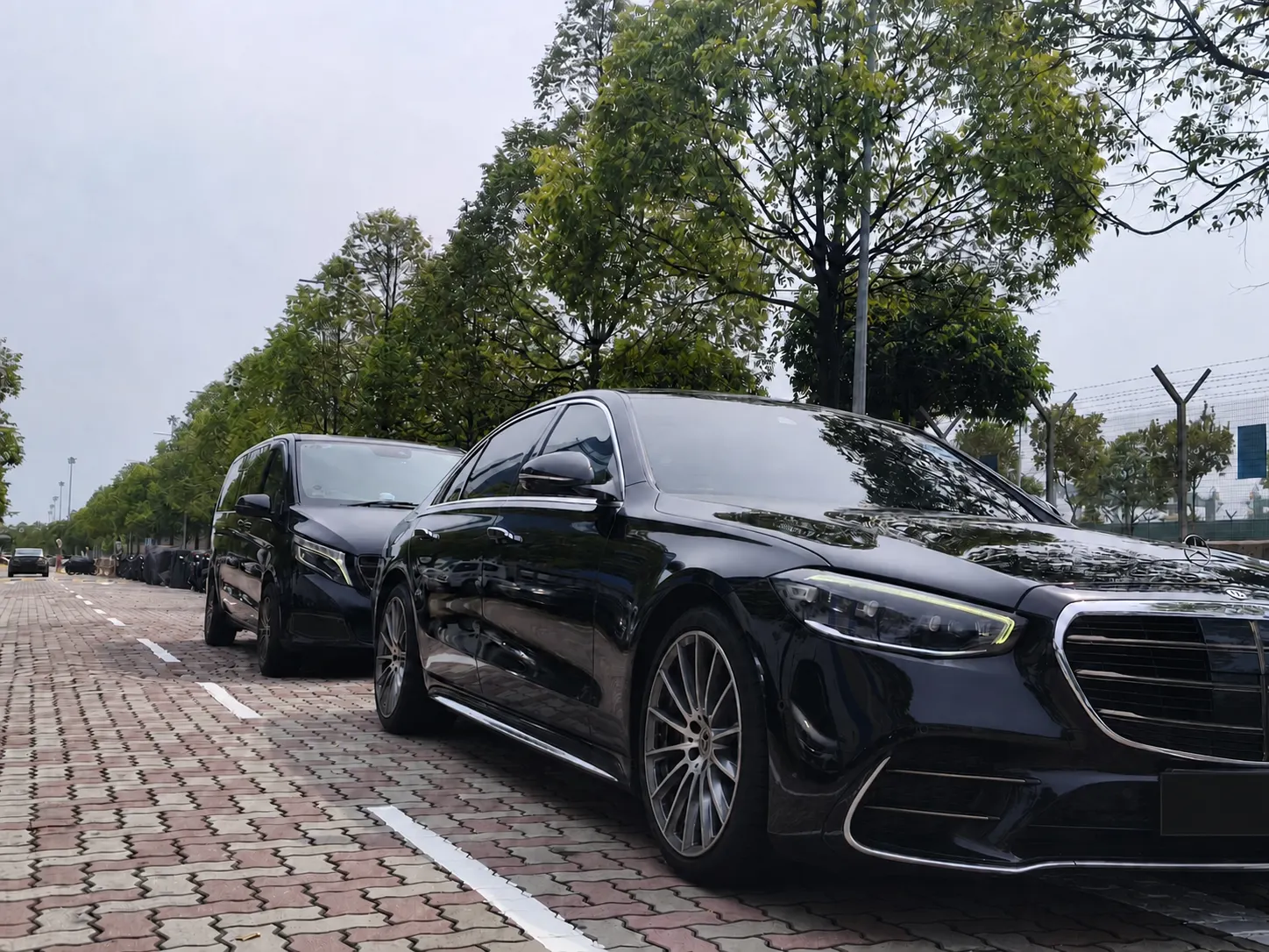 Black chauffeur vehicles from the Singapore fleet with registration plates removed